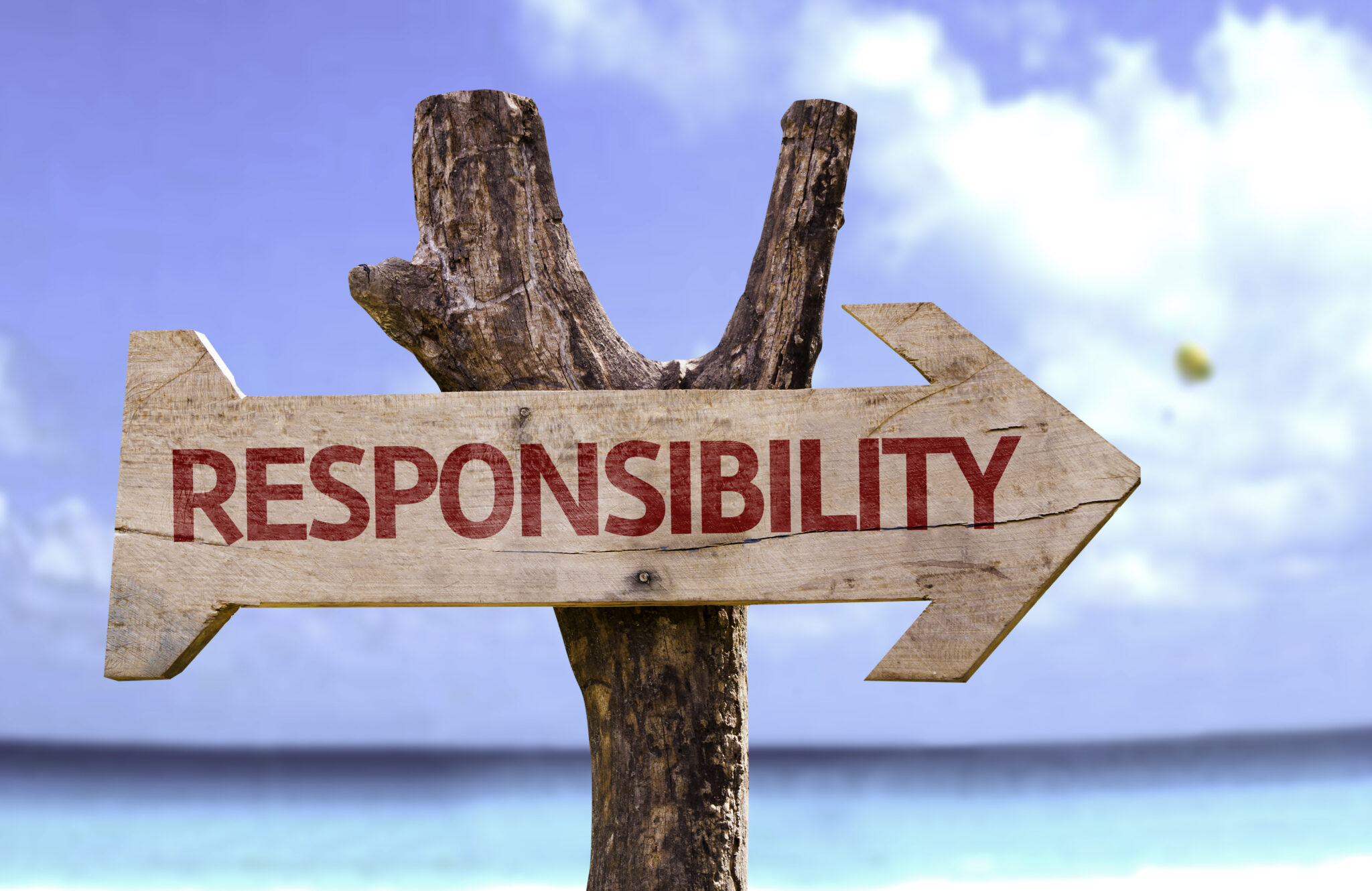 Self-Responsibility • Women's Domestic Violence Course • Affordable Mandatory Classes • Court Ordered Classes • Mandatory Training • affordablemandatoryclasses.com